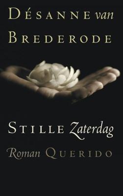 Stille zaterdag - Désanne van Brederode - eBook (9789021441467)