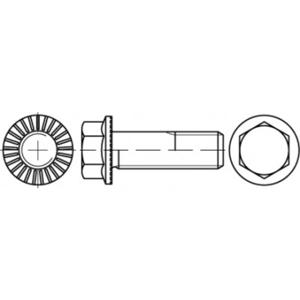 TOOLCRAFT TO-5444541 Zeskantbout M12 45 mm Buitenzeskant 88913 100 stuk(s)