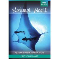 BBC Earth - Natural World Natural World Collection Queen Of The Manta Rays (DVD)