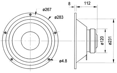 Visaton W 250 S - 4 Ohm 10 inch 25.4 cm Woofer 100 W 4 Ω