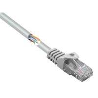 Renkforce RF-5043978 RJ45 Netwerkkabel, patchkabel CAT 5e U/UTP 0.15 m Grijs Snagless 1 stuk(s) - thumbnail