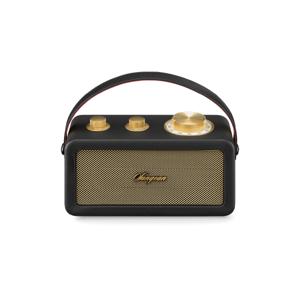 Sangean RA-101 Draagbare radio FM Bluetooth, AUX Oplaadbaar Zwart, Goud