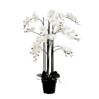 Mica Decorations orchidee in plastic pot creme maat in cm: 35x35x117 - thumbnail