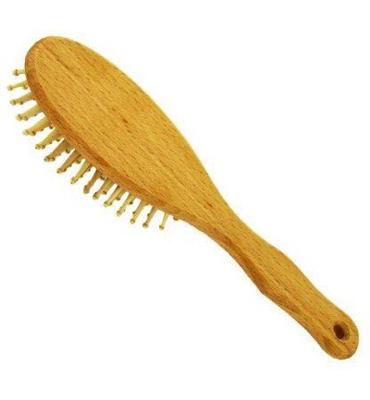 Forsters Forsters Haarborstel Hout Noppen Beukenhout Large (1st)