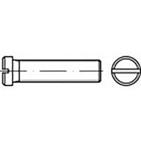 TOOLCRAFT TO-6857436 Platkopschroeven M4 10 mm Sleuf DIN 920 100 stuk(s) - thumbnail