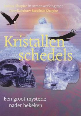Kristallen schedels - D. Roodnat-Shapiro, Jeff Shapiro - Paperback (9789077247495)