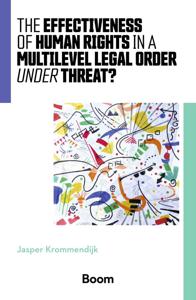 The effectiveness of human rights in a multilevel legal order under threat? - J. Krommendijk - ebook