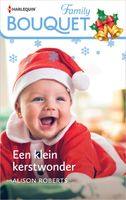 Een klein kerstwonder - Alison Roberts - ebook - thumbnail