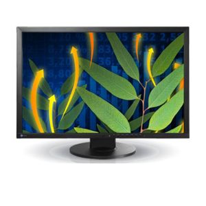 EIZO EV2436W - 24 inch - 1920x1200 - DP - DVI - VGA - Zwart