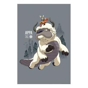 Avatar The Last Airbender Art Print Appa & Aang Limited Edition 42 X 30 Cm