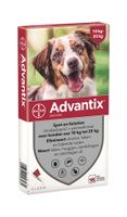 BAYER ADVANTIX SPOT ON 250/1250 10-25 KG - 6 PIP