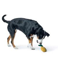 Hondenspeelgoed Florence, Hummel, 22 cm