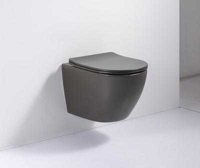 SaniGoods Apollo mat donkergrijze toiletpot inclusief zitting anti-kalk 48cm SaniGoods Apollo mat donkergrijze toiletpot inclusief zitting anti-kalk 48cm