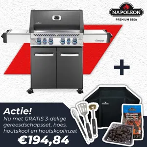 Napoleon Prestige® 500 RSIB Zwart