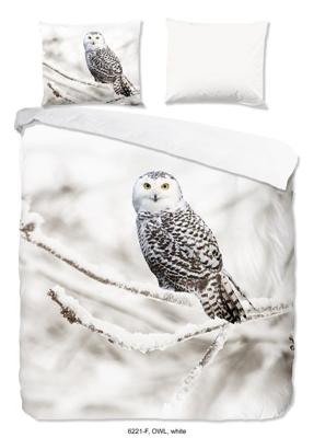 Good Morning Dekbedovertrek Snowy Owl 200 x 200/220 cm + 2 kussenslopen