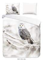 Good Morning Dekbedovertrek Snowy Owl 200 x 200/220 cm + 2 kussenslopen