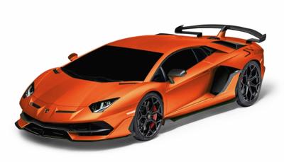 Jamara Lamborghini Aventador SVJ radiografisch bestuurbaar model Sportauto Elektromotor 1:24 Jamara Lamborghini Aventador SVJ radiografisch bestuurbaar model Sportauto Elektromotor 1:24