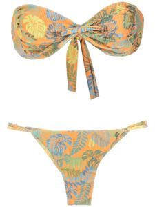 Amir Slama bikini bandeau à imprimé végétal - Orange