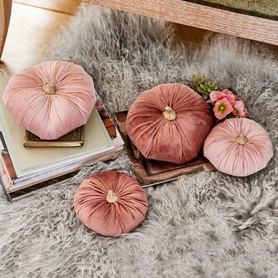 Pompoen set van 4 Morne Pompoen set van 4 Morne