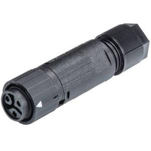 Wieland Electric 46.031.4553.1 Ronde connector Koppeling, recht Totaal aantal polen: 2 + PE Serie (ronde connectoren): RST® MINI 1 stuk(s)