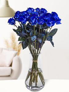 20 blauwe rozen