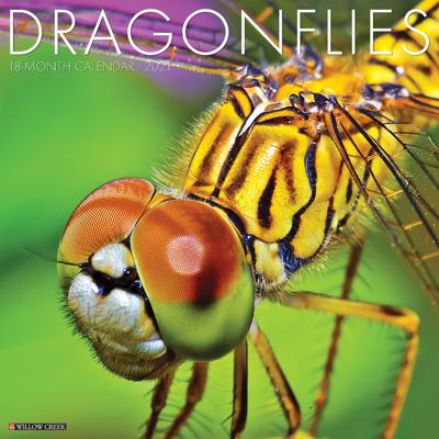 Dragonflies Kalender 2021