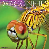 Dragonflies Kalender 2021