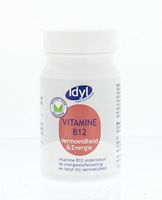 Idyl Vitamine B12 (90 tab) - thumbnail