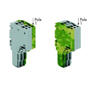 WAGO 2020-203/000-036 Connector, female Grijs, Groen, Geel 50 stuk(s)