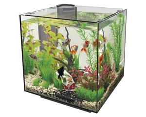 Superfish Qubiq 30 Zwart - Compact Aquarium 30L met LED-verlichting & Geïntegreerd Filter