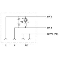 Phoenix Contact SAC-3P- 3,0-PVC/C-1L-Z 1439515 Klepstekker met aangegoten kabel Zwart Inhoud: 1 stuk(s)