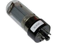 BTB Vertrieb 6L6GC Elektronenbuis Straalpentode 250 V Aantal polen: 7 Fitting: Octal 2 stuk(s)