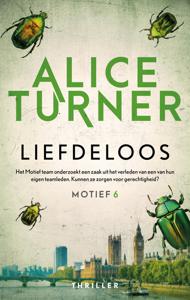 Liefdeloos - Alice Turner - ebook