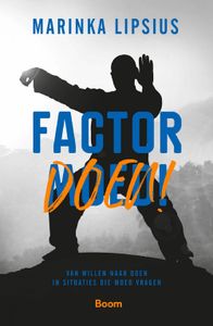 Factor DOEN - Marinka Lipsius - ebook