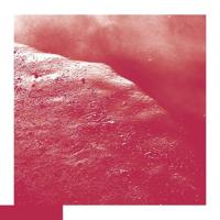 The Cell - LP (4050486115756)