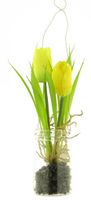 Tulip yara in glass pot w/hanger yellow 24cm