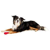 Trixie Bandages, zelfklevend