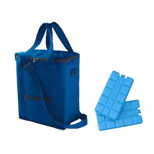 Koeltas van 36 x 30 x 17 cm blauw met 6x stuks koelelementen