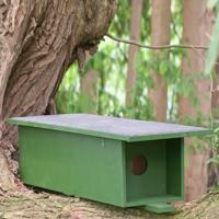Nestkast Steenuil