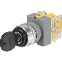 TRU COMPONENTS 704536 Y090-A-20Y/33 Sleutelschakelaar 250 V/AC 5 A 2x uit/(aan) 2 x 45 ° IP40 1 stuk(s) - thumbnail