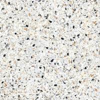 Vloertegel Paul en Co Terrazzo Casale Graniglia Bianco Multicolor 25x25