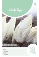 Hortitops 12120 Cichoreisla Mechelse Middelvroeg (cichoreizaad)