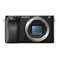 Sony Alpha A6100 systeemcamera Body Zwart (ILCE6100B.CEC)