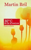 Dertig graden in de schaduw - Martin Bril - ebook - thumbnail