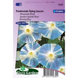 Ipomoea Tricolor zaden Flying Saucers Klimmende Winde