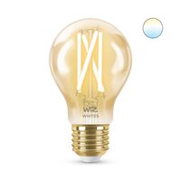 WiZ Smart Filament lamp Standaard Goud - Warm tot Koelwit Licht - E27