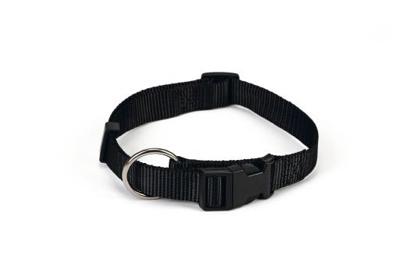 Beeztees - halsband hond - nylon - zwart - 40-65 cm x 25 mm Beeztees - halsband hond - nylon - zwart - 40-65 cm x 25 mm