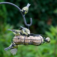 Vivara Vetbolcarrousel Zwart