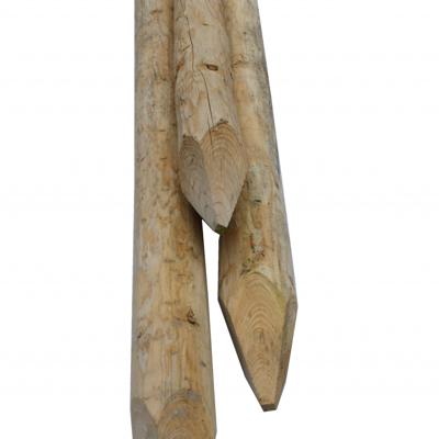 Perkoenpaal | Onbehandeld | D7 160 cm Perkoenpaal | Onbehandeld | D7 160 cm