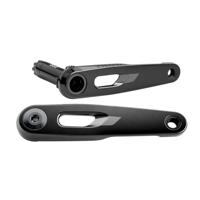 SRAM Rival Crank Arm Assembly - 175 mm, 12/13 versnellingen, 8-bouten directe montage, dubbele spil, zwart, E1